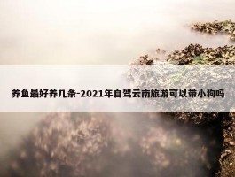 养鱼最好养几条-2021年自驾云南旅游可以带小狗吗