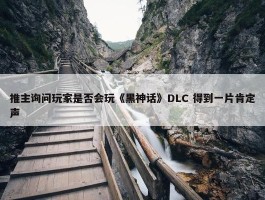 推主询问玩家是否会玩《黑神话》DLC 得到一片肯定声