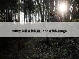 wlk怎么看宠物技能，tbc宠物技能nga