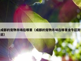 成都的宠物市场在哪里（成都的宠物市场在哪里金牛区附近）