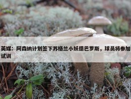 英媒：阿森纳计划签下苏格兰小妖德巴罗斯，球员将参加试训