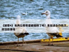 《披哥4》有两位哥哥是被捆绑了吗？竟低调合作四次，却没故事线