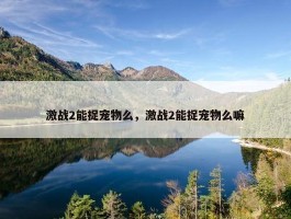 激战2能捉宠物么，激战2能捉宠物么嘛