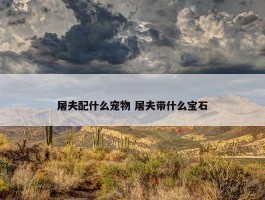 屠夫配什么宠物 屠夫带什么宝石