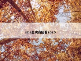 nba总决赛回看2020