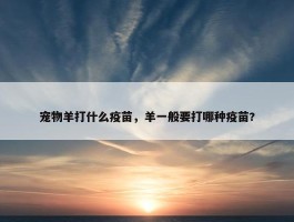 宠物羊打什么疫苗，羊一般要打哪种疫苗?