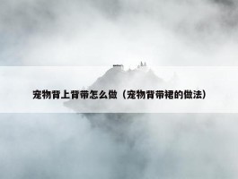 宠物背上背带怎么做（宠物背带裙的做法）