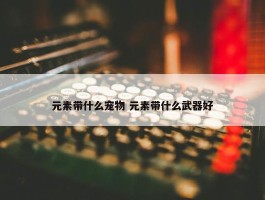 元素带什么宠物 元素带什么武器好