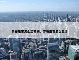 罗布乐事怎么装宠物，罗布乐事怎么改名