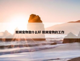 照顾宠物做什么好 照顾宠物的工作