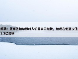 希勒：蓝军签帕尔默时人们曾表示担忧，但现在他至少值1.3亿英镑