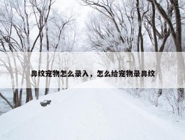 鼻纹宠物怎么录入，怎么给宠物录鼻纹