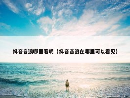 抖音音浪哪里看呢（抖音音浪在哪里可以看见）