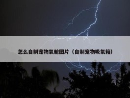 怎么自制宠物氧舱图片（自制宠物吸氧箱）