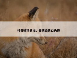 抖音骚猪是谁，骚猪经典口头禅