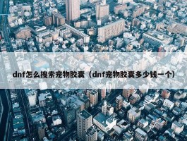 dnf怎么搜索宠物胶囊（dnf宠物胶囊多少钱一个）