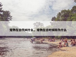 宠物在古代叫什么，宠物在古时候称为什么