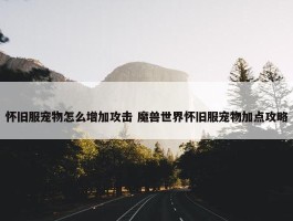 怀旧服宠物怎么增加攻击 魔兽世界怀旧服宠物加点攻略