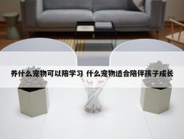 养什么宠物可以陪学习 什么宠物适合陪伴孩子成长