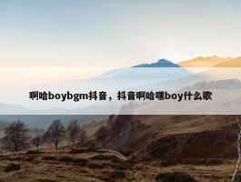 啊哈boybgm抖音，抖音啊哈嘿boy什么歌