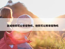 县城地铁可以带宠物吗，地铁可以携带宠物吗