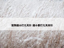 宠物细小打几天针 细小要打几天吊针