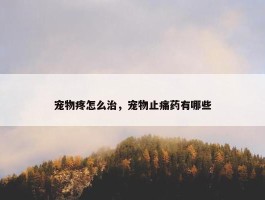 宠物疼怎么治，宠物止痛药有哪些