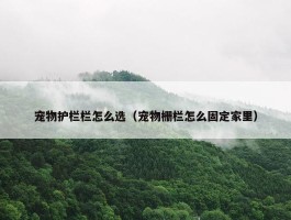 宠物护栏栏怎么选（宠物栅栏怎么固定家里）