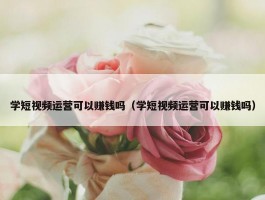 学短视频运营可以赚钱吗（学短视频运营可以赚钱吗）