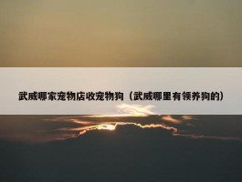 武威哪家宠物店收宠物狗（武威哪里有领养狗的）