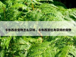 卡布西游宠物怎么获得，卡布西游任务获得的宠物