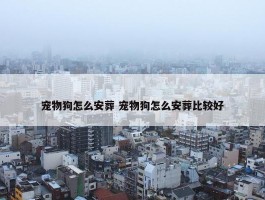 宠物狗怎么安葬 宠物狗怎么安葬比较好