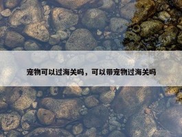 宠物可以过海关吗，可以带宠物过海关吗