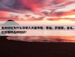 兔肉好吃为什么没有人大量养殖，泰迪。萨摩耶。金毛。比熊哪种品种较好？