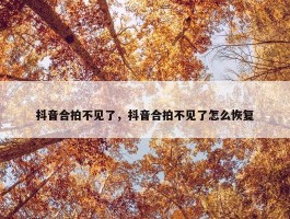 抖音合拍不见了，抖音合拍不见了怎么恢复