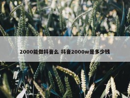 2000能做抖音么 抖音2000w是多少钱