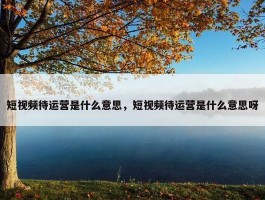 短视频待运营是什么意思，短视频待运营是什么意思呀