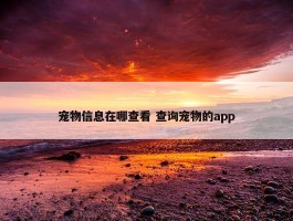 宠物信息在哪查看 查询宠物的app