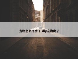 宠物怎么搭房子 diy宠物房子