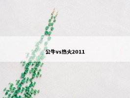 公牛vs热火2011