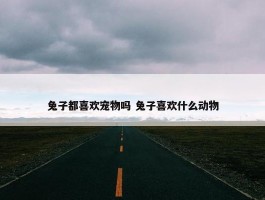 兔子都喜欢宠物吗 兔子喜欢什么动物