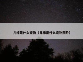 儿棒是什么宠物（儿棒是什么宠物图片）