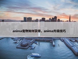 anima宠物如何获得，anima升级技巧