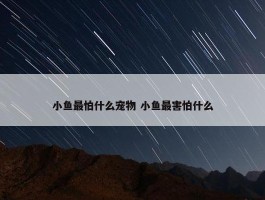 小鱼最怕什么宠物 小鱼最害怕什么