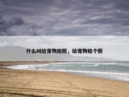 什么叫给宠物拍照，给宠物拍个照