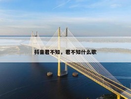 抖音君不知，君不知什么歌