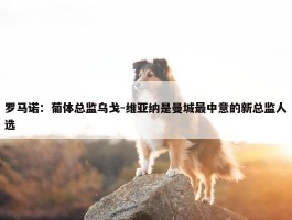 罗马诺：葡体总监乌戈-维亚纳是曼城最中意的新总监人选