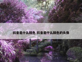 抖音是什么颜色 抖音是什么颜色的头像