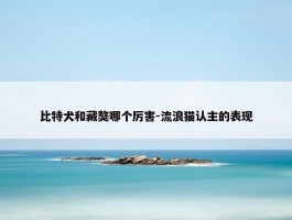 比特犬和藏獒哪个厉害-流浪猫认主的表现