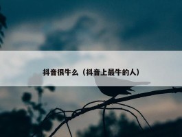 抖音很牛么（抖音上最牛的人）